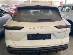 جیتۆر داشينگ